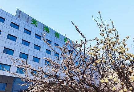 yp街机·电子游戏(中国)官方网站