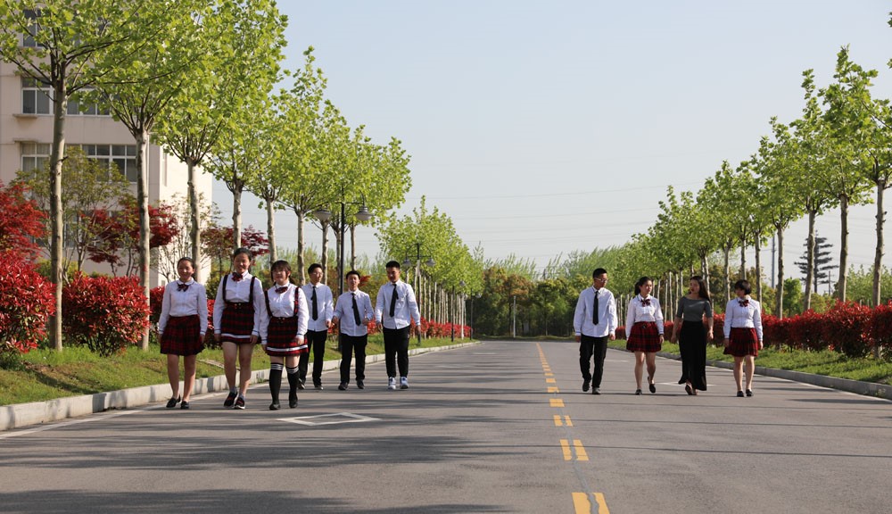 yp街机·电子游戏(中国)官方网站