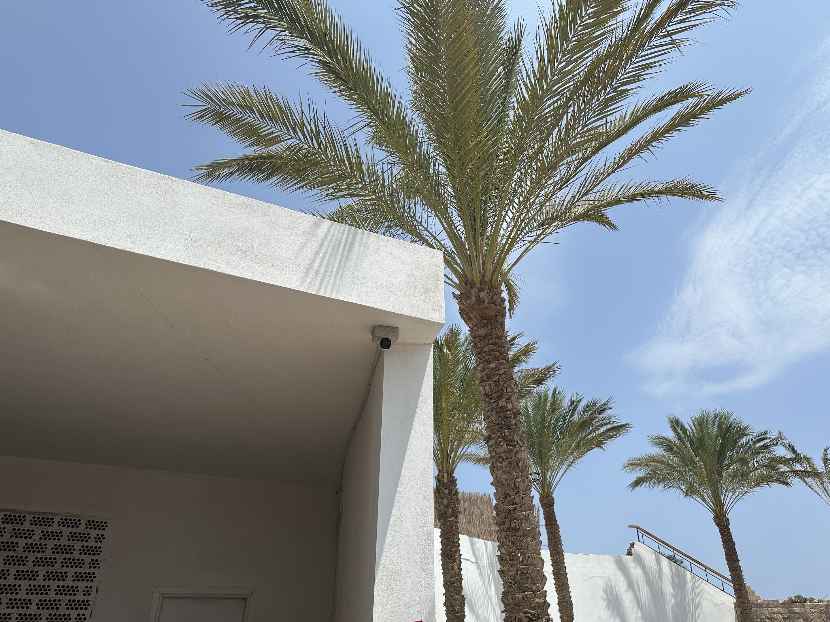 yp街机·电子游戏(中国)官方网站