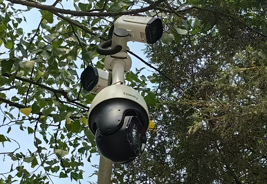 yp街机·电子游戏(中国)官方网站