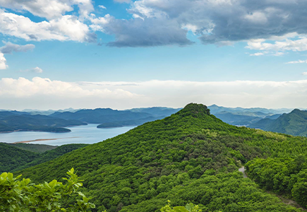 yp街机·电子游戏(中国)官方网站