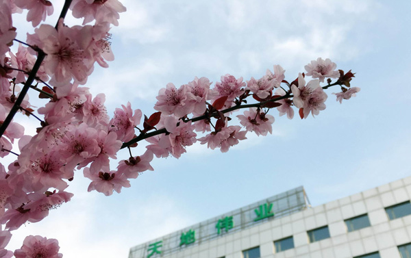 yp街机·电子游戏(中国)官方网站