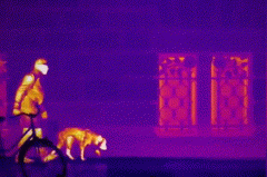 yp街机·电子游戏(中国)官方网站