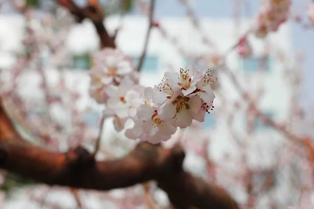 yp街机·电子游戏(中国)官方网站