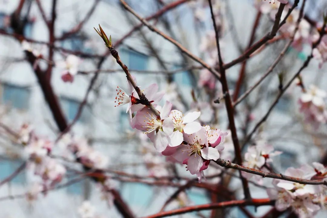 yp街机·电子游戏(中国)官方网站