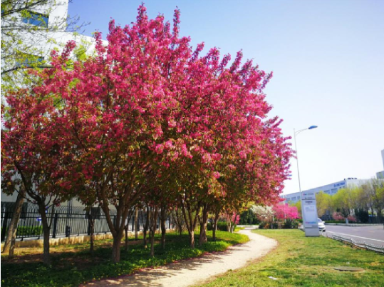 yp街机·电子游戏(中国)官方网站