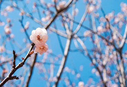 yp街机·电子游戏(中国)官方网站